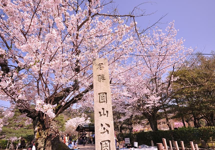 Hoa anh đào còn nở đến tận tháng 5, hãy lưu ngay lịch trình du lịch Nhật Bản để không bỏ lỡ mùa đẹp nhất xứ Phù Tang - Ảnh 3.