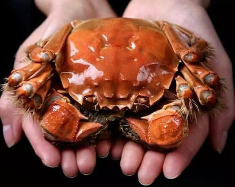 Đặc sản Hải Dương góp mặt trong foodtour Hải Phòng sau sáp nhập