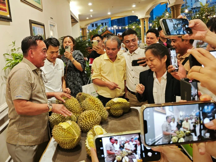 HAGL trồng sầu riêng