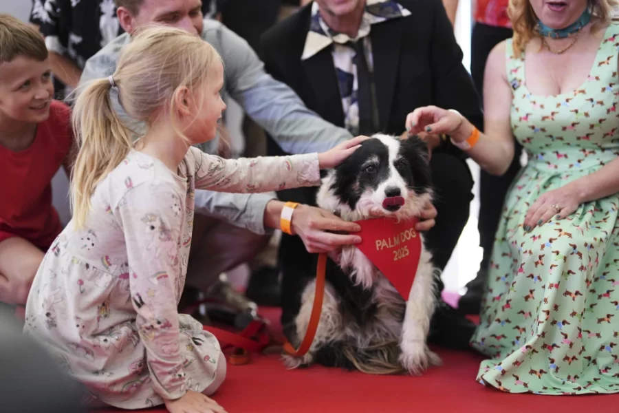 Palm Dog Cannes 2025