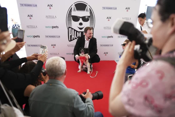 Palm Dog Cannes 2025