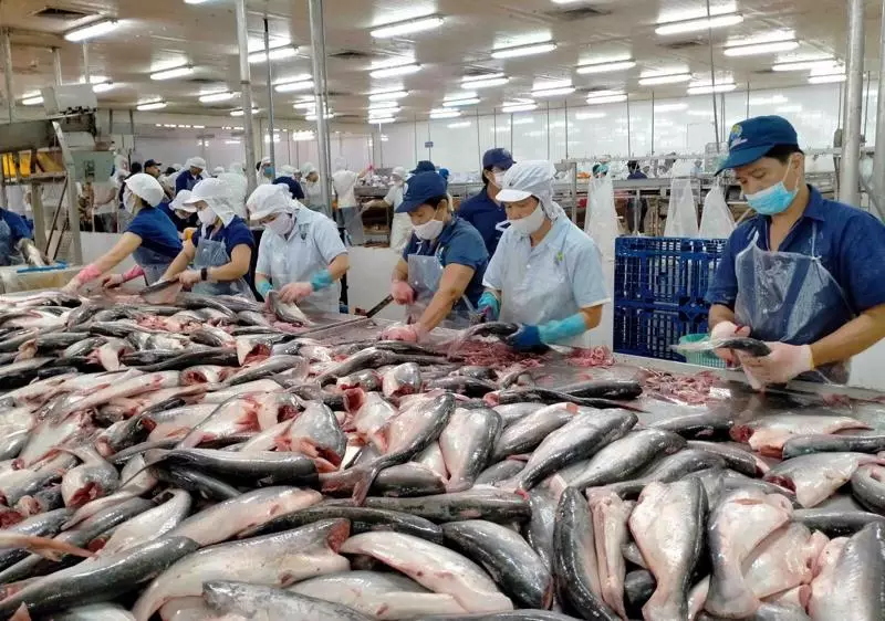 Lưu nháp tự động