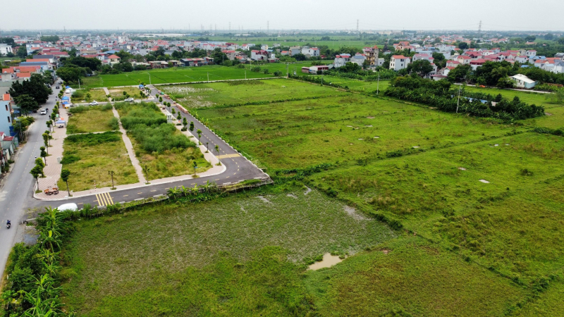 đầu cơ đấu giá đất