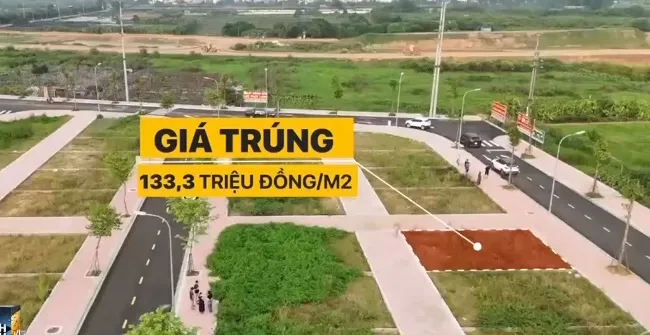 đầu cơ đấu giá đất