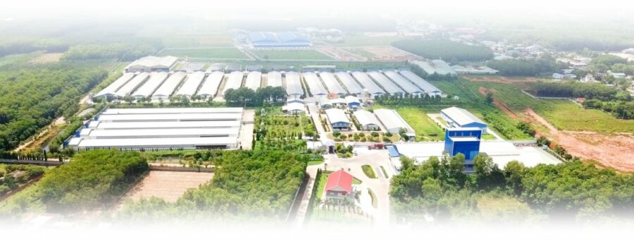 doanh nghiệp nông nghiệp
