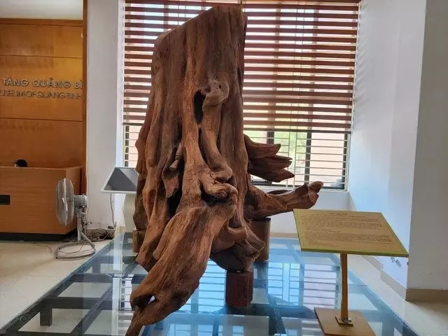 Lưu nháp tự động