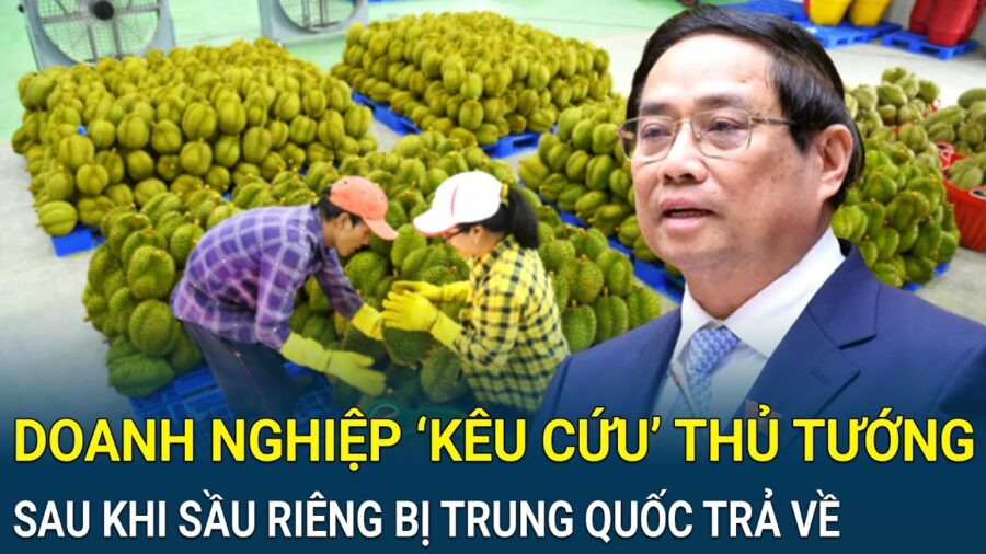 hàm lượng cadimi