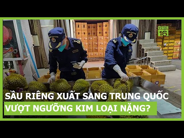 hàm lượng cadimi