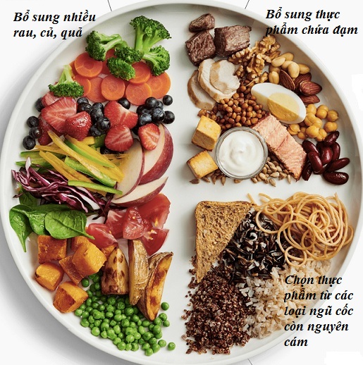 Ăn Uống Lành Mạnh, Bí Quyết Dinh Dưỡng, Lối Sống Khỏe, Hướng Dẫn Ăn Sạch, Cân Bằng Dinh Dưỡng