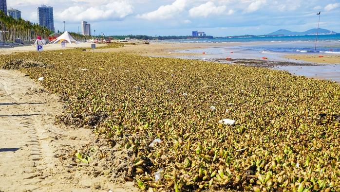 rác tràn ngập Bãi Sau_2