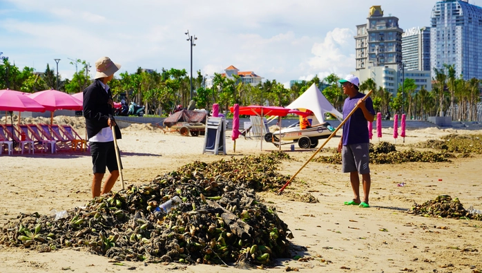 rác tràn ngập Bãi Sau