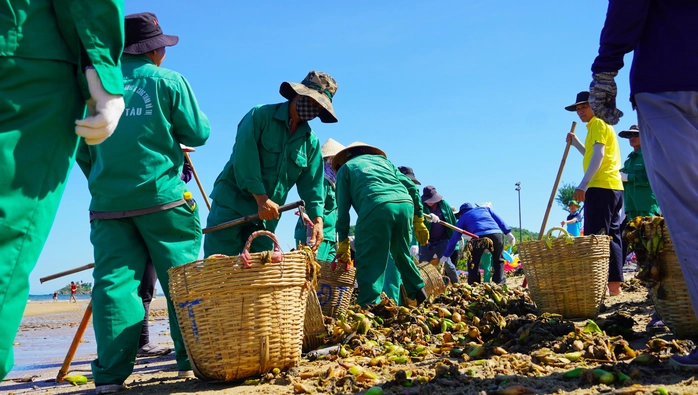 rác tràn ngập Bãi Sau
