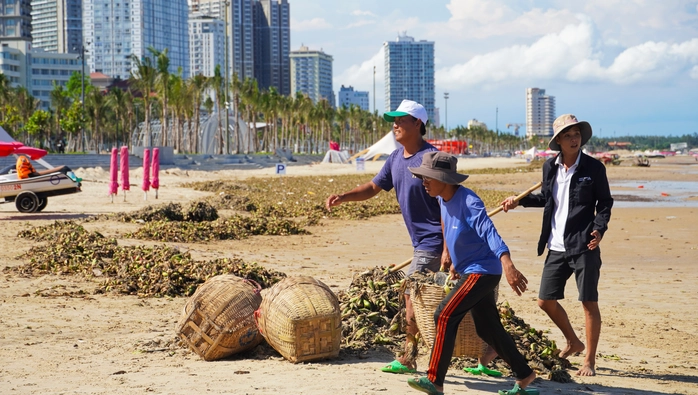 rác tràn ngập Bãi Sau