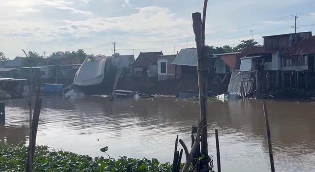 Biển Bãi Trước Vũng Tàu chìm trong lục bình dày đặc, người dân “xuyên rừng nước” để tắm