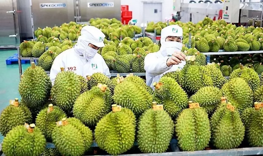 Lưu nháp tự động