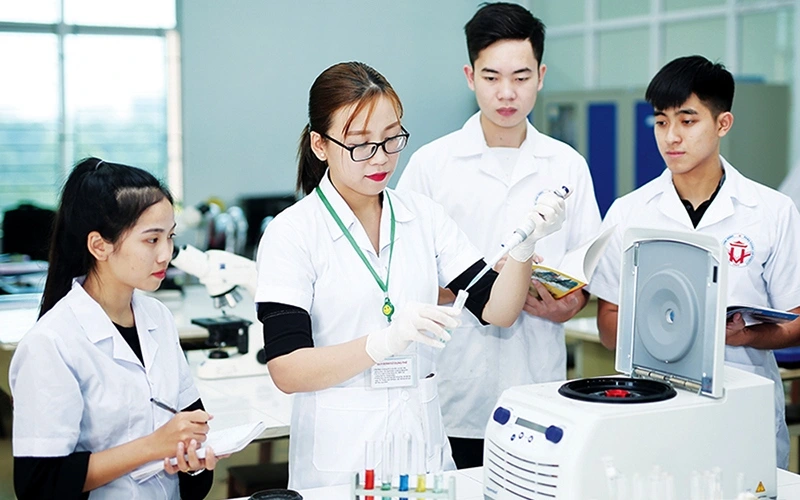 Lưu nháp tự động