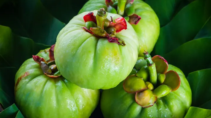 Lưu nháp tự động