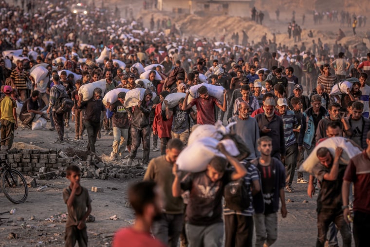Người mẹ Palestine bị bắn chết khi đi nhận viện trợ ở Gaza - Hình ảnh minh họa