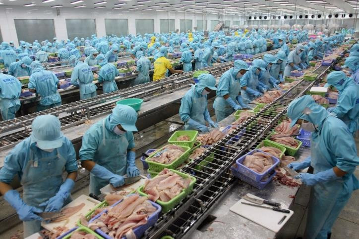 Thuế Mỹ 46% đe dọa sinh kế 4 triệu lao động ngành thủy sản Việt Nam - Hình ảnh minh họa