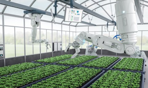 6 bài học thực tế để ứng dụng hiệu quả trí tuệ nhân tạo - Hình ảnh minh họa