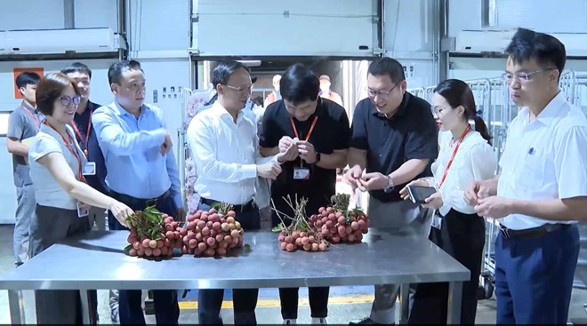 Doanh nghiệp FDI đẩy mạnh tiêu thụ vải thiều Bắc Ninh ngay tại khu công nghiệp - Hình ảnh minh họa