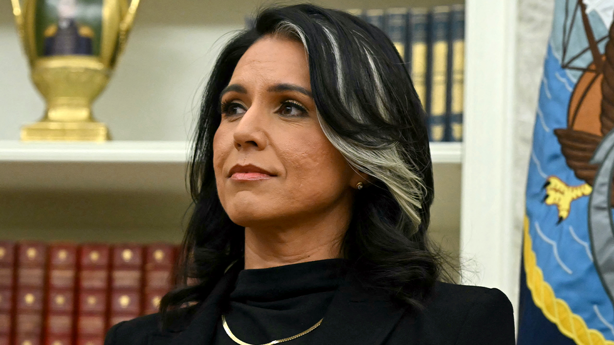 Gabbard tố chính quyền Obama thao túng cuộc bầu cử Mỹ 2016 để chống Trump - Hình ảnh minh họa