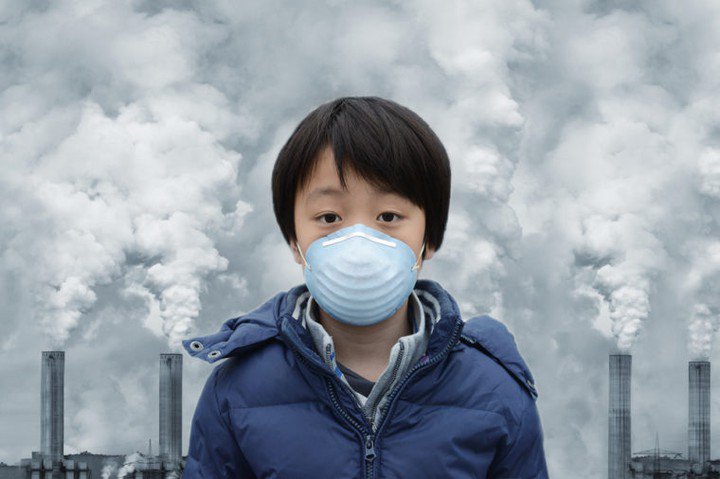 Nấm Aspergillus fumigatus kháng thuốc gia tăng, đe dọa điều trị toàn cầu - Hình ảnh minh họa