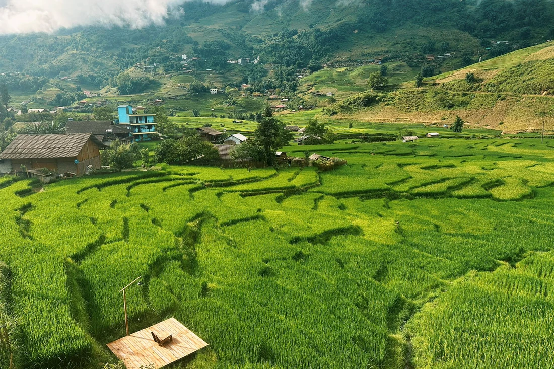 Sa Pa tháng 8: Khi ruộng bậc thang dệt nên tấm thảm ngọc bích khổng lồ - Hình ảnh minh họa
