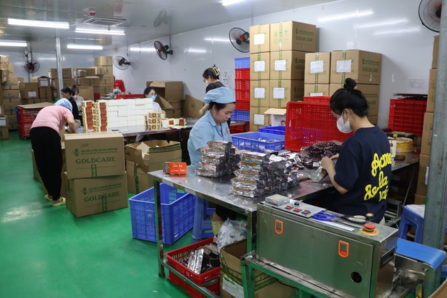 Bóc gỡ đường dây nữ giám đốc sản xuất hàng nghìn hộp thực phẩm chức năng giả tại Quảng Ninh - Hình ảnh minh họa