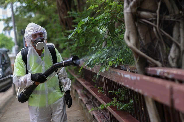 Virus Chikungunya: Mối nguy toàn cầu và sự hiện diện của vật chủ truyền bệnh tại Việt Nam - Hình ảnh minh họa